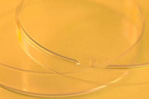 【2024年版】日本橋エリアで選ぶべき内科クリニックまとめ｜アクセス・予約・安心の医療情報