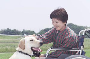 2026年最新！松山で評判の歯医者トップ5と選び方のポイント