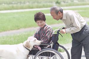 ストレスや不調に悩むあなたへ：世田谷区で評判の心療内科を徹底比較【2026年最新】