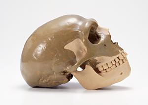 糖尿病診療に特化した神戸の医院です