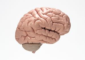 矯正歯科に特化した札幌の歯医者