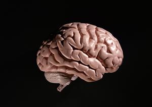 高田馬場で信頼できる消化器内科を選ぶポイントと最新情報2025