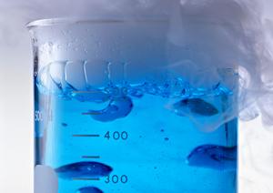 歯科医院を安佐南区で見つけるポイント