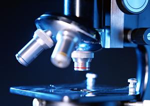 小平市でおすすめの内科クリニック完全ガイド｜家族の健康管理をサポートするポイントとは