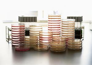 広島市のクリニックでうつの病気治療